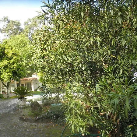 With Swimming Pool * Vila Verde (Braga)