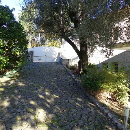 Vakantiehuis With Swimming Pool